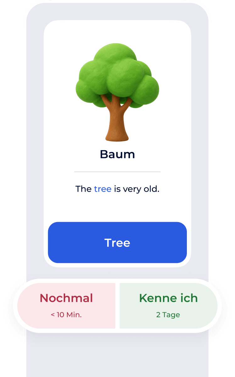 Flexi-Oberfläche für die Wiederholung mit Karte und Antwortbewertung
