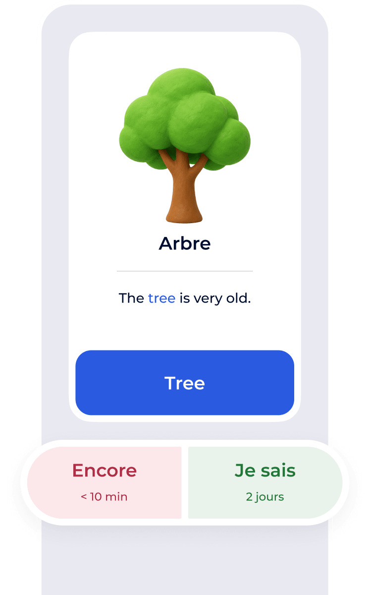 Interface de révision en répétition espacée de Flexi avec boutons d’évaluation de la réponse